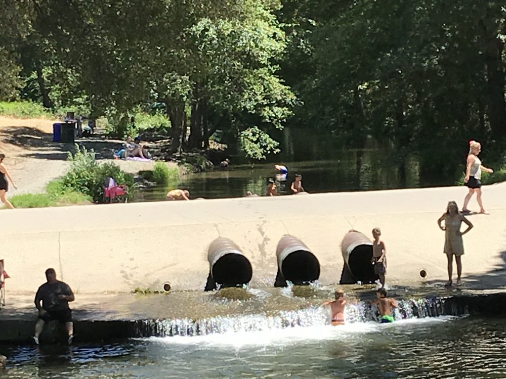 A small waterfall with children playing, people relaxing by a river, and trees providing shade.