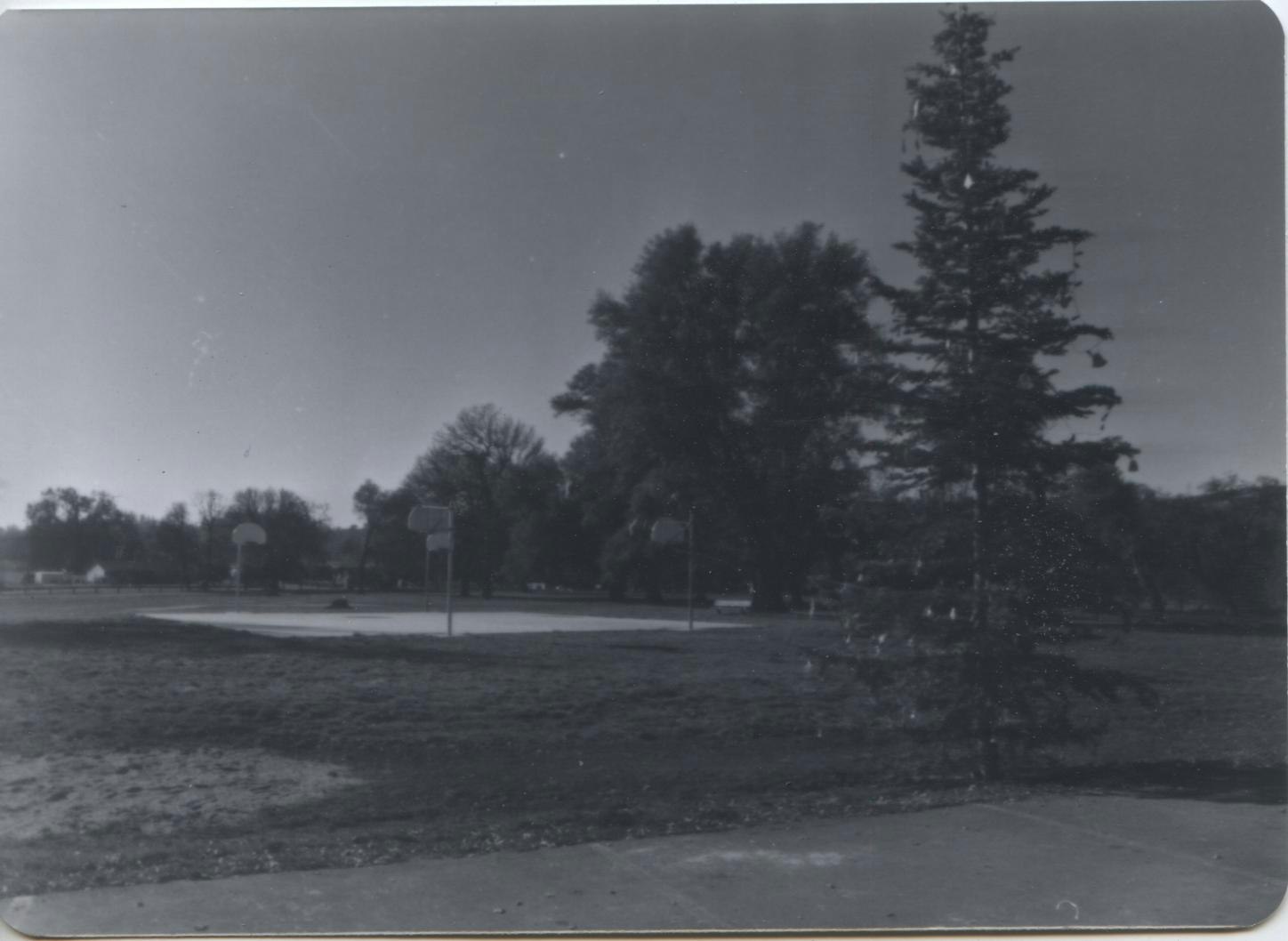 A black and white image of the newly installed basketball court surrounded by trees.