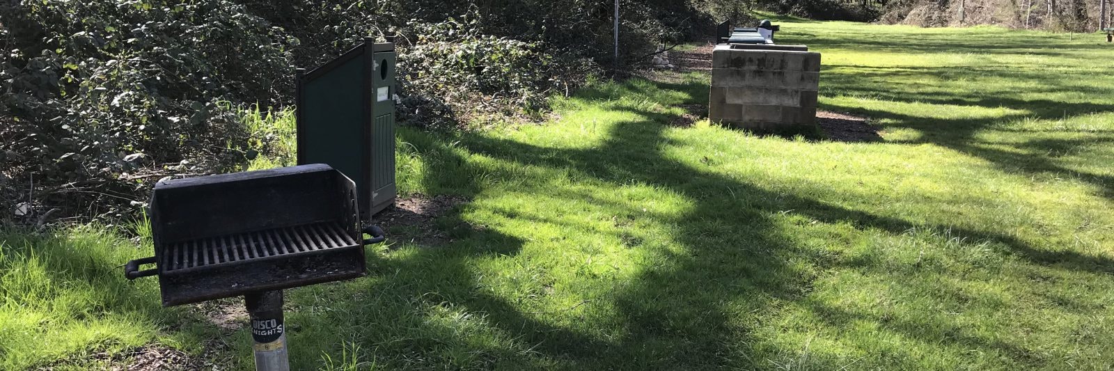 Outdoor BBQ grill, trash bin, and a picnic table on grass near a wooded area.