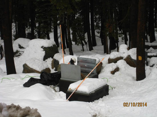Snow-covered forest with electrical equipment surrounded by trees.