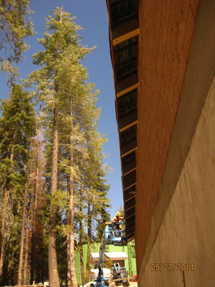 Trees, a building side, and a person on a lift under a clear sky.