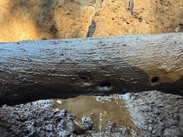 A muddy wooden log with holes, possibly in a dirt trench, with water dripping underneath.