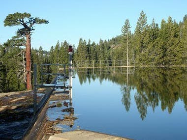 Tranquil lake with reflection, surrounded by pine trees under a clear blue sky, with a small jetty on the left side.