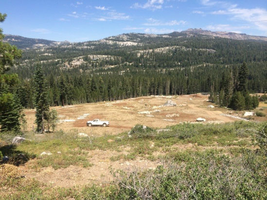 A white truck parked in a large, open field surrounded by dense forest and distant mountains under a blue sky.