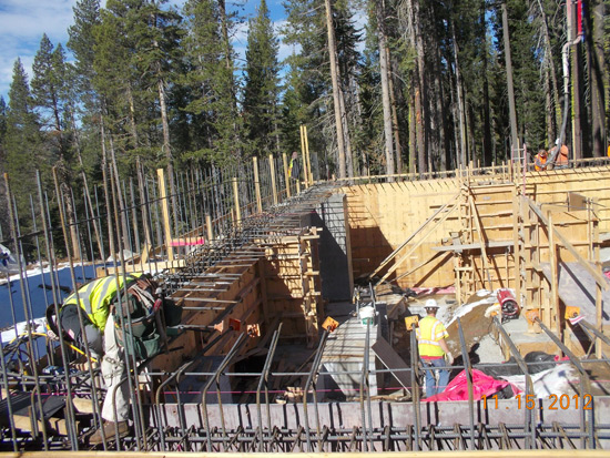 Construction workers building a concrete structure with wooden framing and rebar in a forest setting.