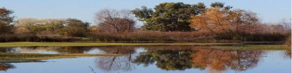 Photo of trees and water