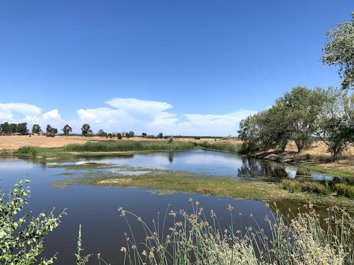 May contain: land, nature, outdoors, water, grass, and plant