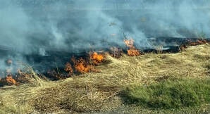May contain: fire and forest fire