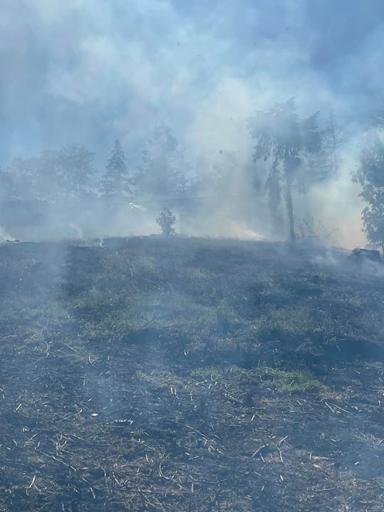 The image shows a smoky landscape with patches of burned ground and trees partially obscured by haze, suggesting a fire presence.