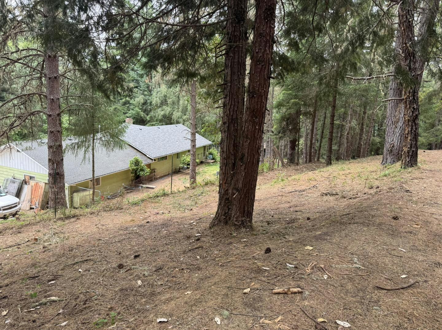 A house surrounded by forest, seen through tall trees on a hillside.