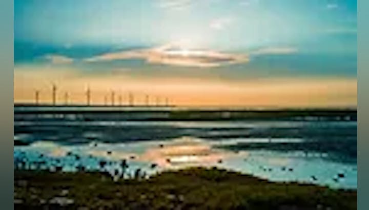 Sunset over a coastal landscape with wind turbines on the horizon.