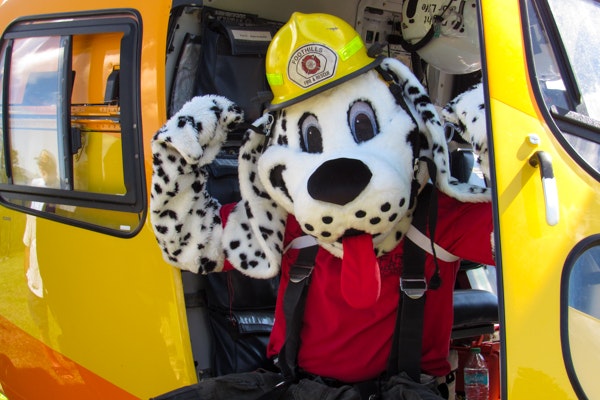 A dalmatian mascot in a firefighter helmet poses inside a helicopter, playfully raising its paws.