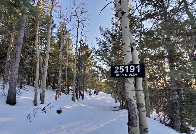 Snowy forest path with tall trees and a sign reading "25191 Aspen Way."