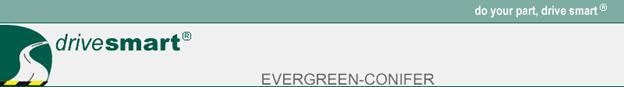 Logo with text: "drivesmart® EVERGREEN-CONIFER" and slogan "do your part, drive smart®."