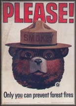 Smokey Bear warns, "Please! Only you can prevent forest fires."