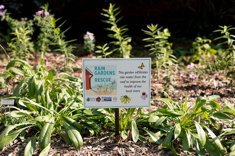 A sign that reads "Rain Gardens Rescue" among green plants, promoting rainwater infiltration for river health.