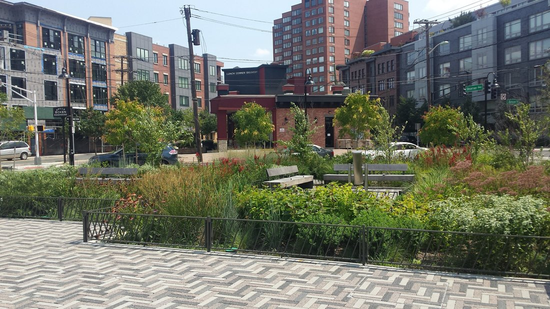 Urban park with benches and foliage, brick buildings in background, and clear sky.