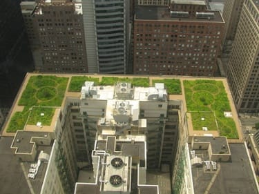 A rooftop garden on a high-rise building surrounded by other skyscrapers.