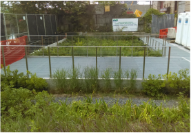 A fenced-off overgrown area with construction signage in the background.