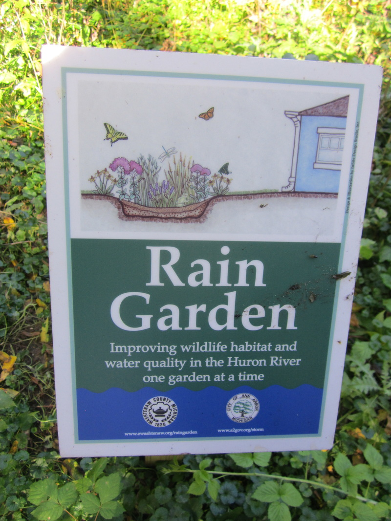 A sign about "Rain Garden" promoting wildlife habitat improvement and water quality in the Huron River.