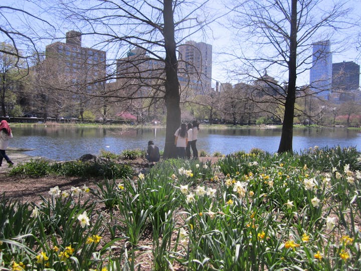 A sunny park scene with people, a pond, blooming flowers, and city buildings in the background.