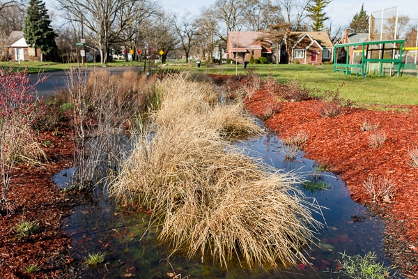A flooded park area with tufts of grass, red mulch, and playground equipment in the background.