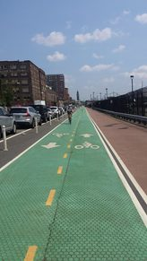 A green bike lane with symbols, yellow lines, parked cars on left, buildings on both sides under a clear sky.