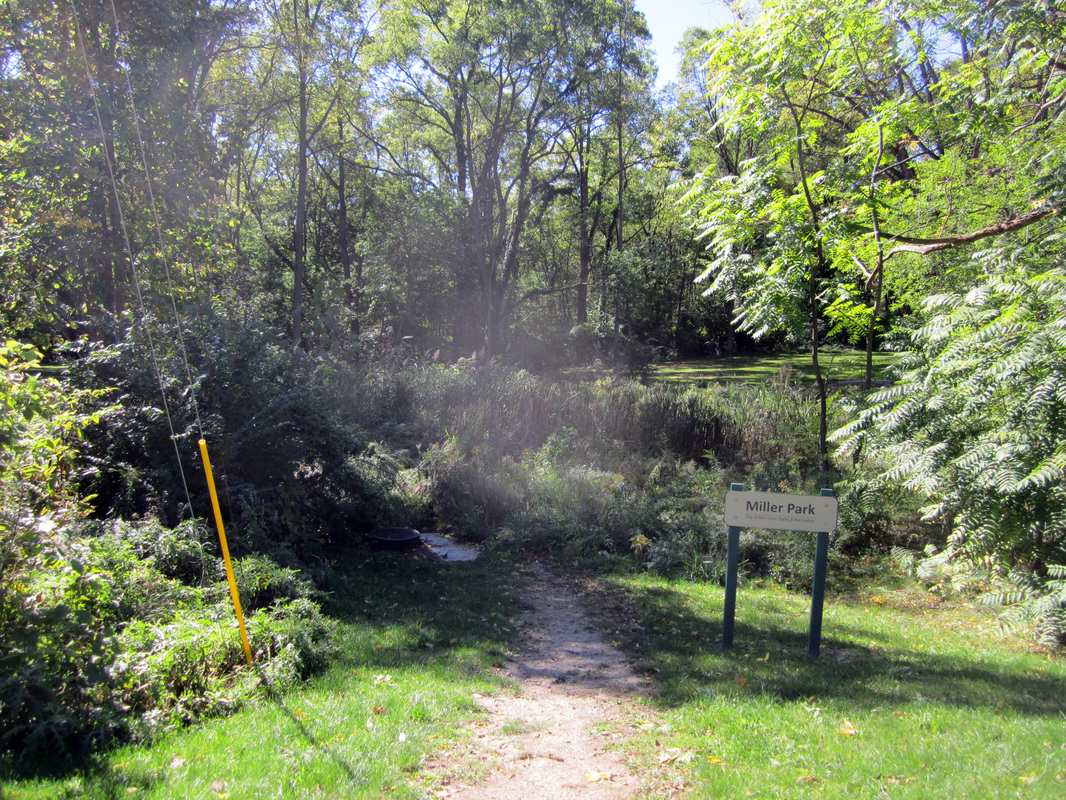 A lush green path leading into Miller Park, surrounded by trees and greenery, bathed in sunlight.