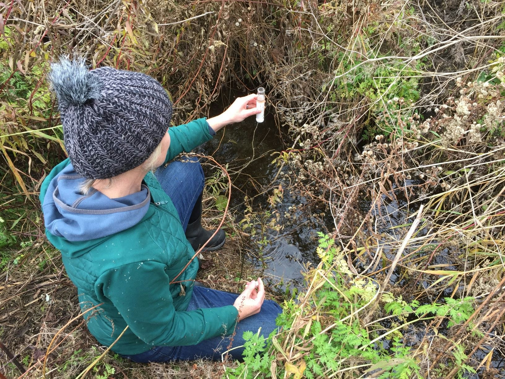 A person in a knit hat collects a water sample from a stream surrounded by vegetation.