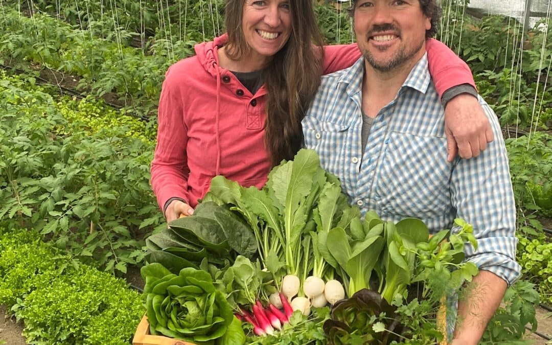 Two people smiling in a garden, holding a basket of fresh vegetables and greens.