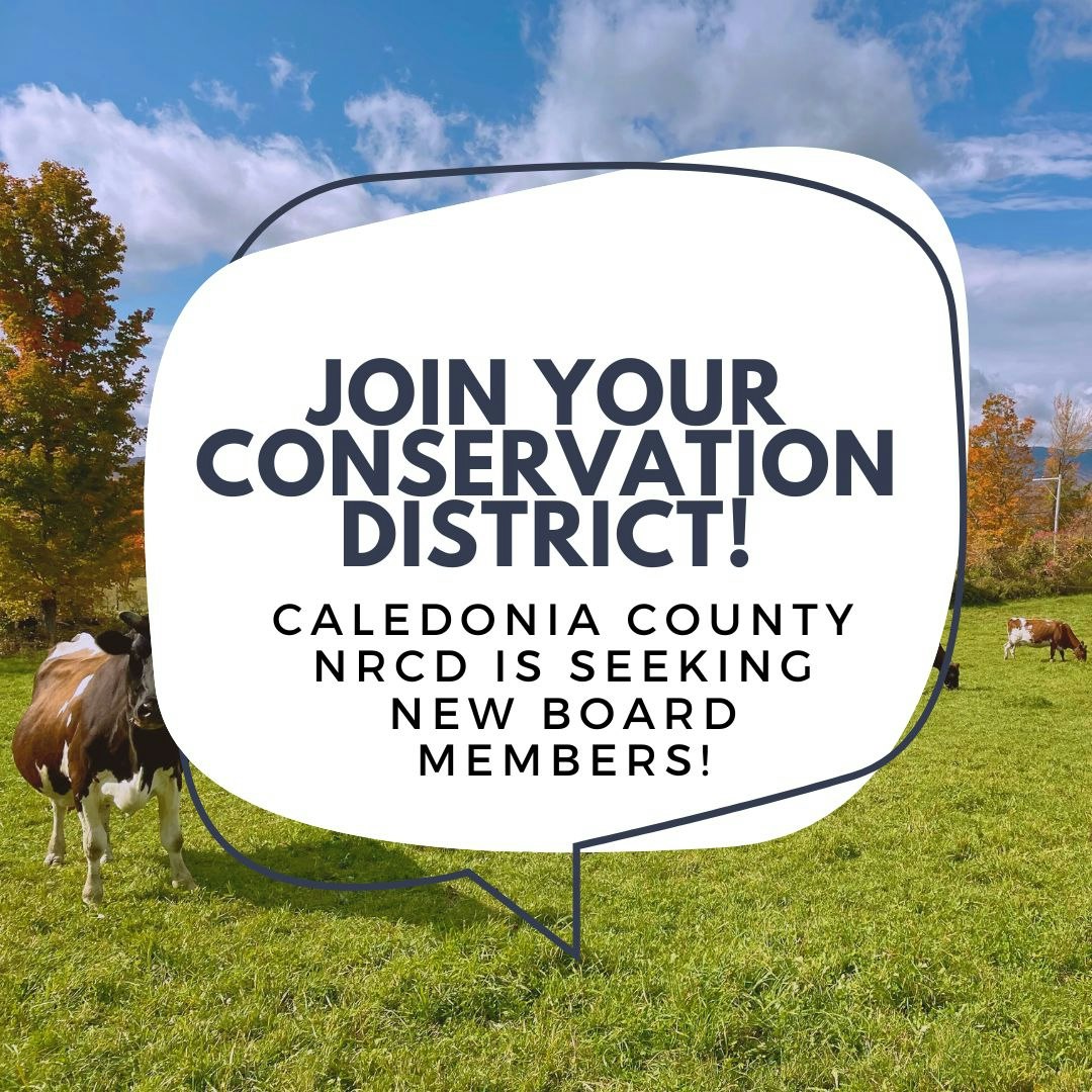 Join your Conservation District! Caledonia County NRCD seeks new board members; cows in a field background.