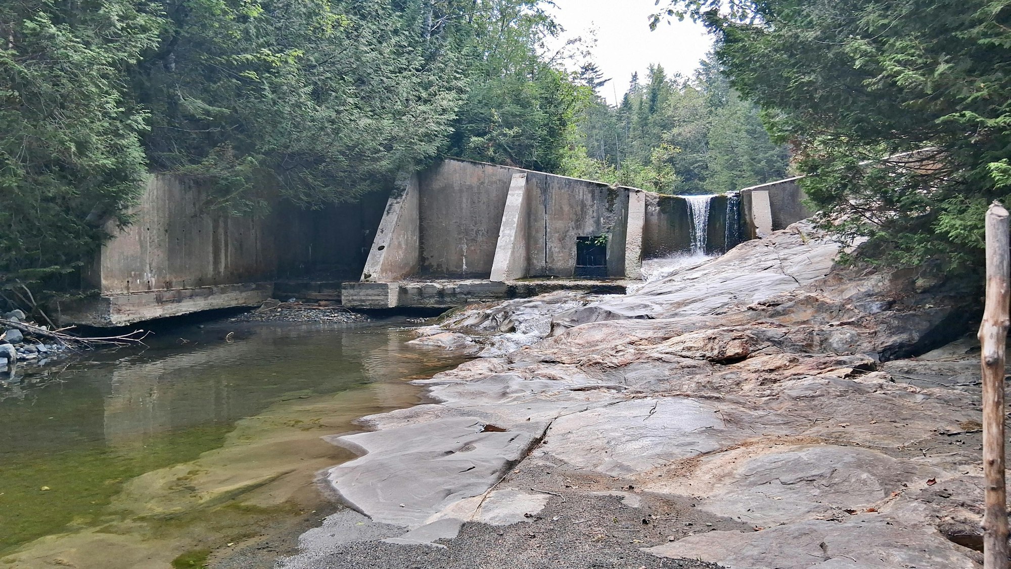 Concrete dam with water flowing over rocks, surrounded by forest.