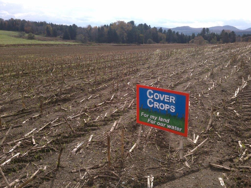 A field with a "Cover Crops" sign. The ground has remnants of harvested plants, with trees and hills in the background.