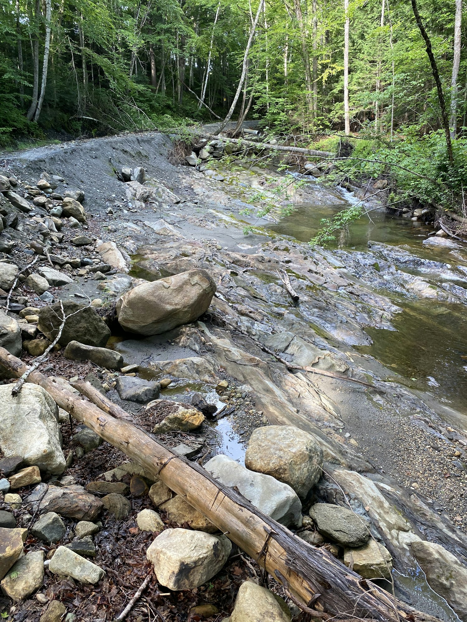 Exposed bedrock and bank erosion along South Peacham Brook