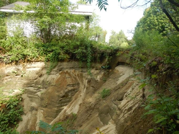 Eroded soil near a house with vegetation and a deep gully.