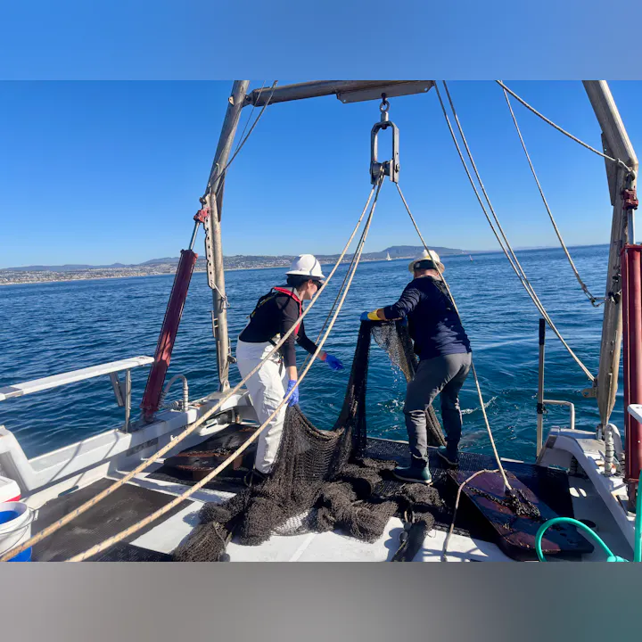 Two individuals are on a boat, handling a fishing net in calm waters under a clear blue sky.