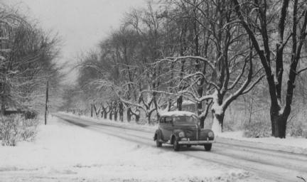 Vintage car driving on a snowy road lined with bare trees.