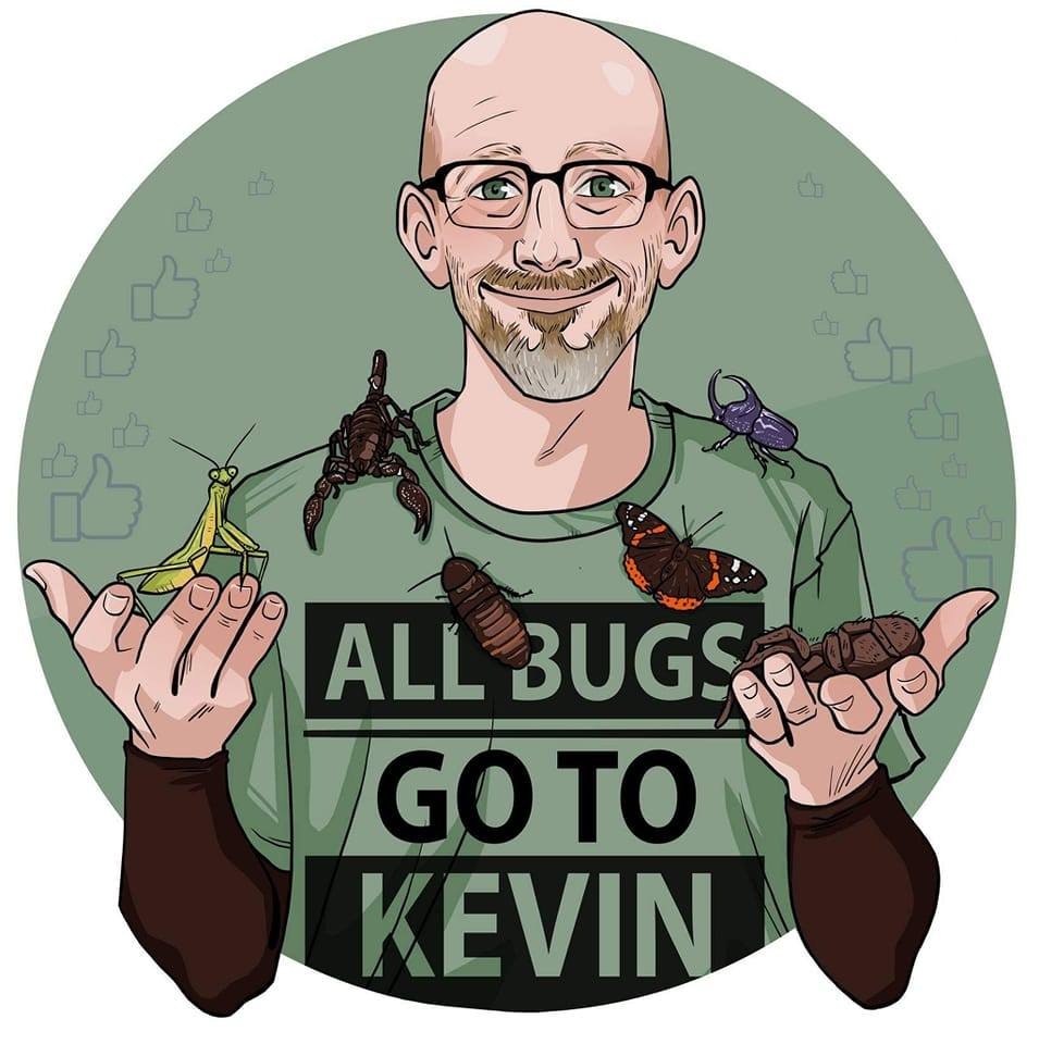 Cartoon of a bald man with bugs on him, wearing a shirt that says "All Bugs Go to Kevin" with a green background and thumbs-up icons.