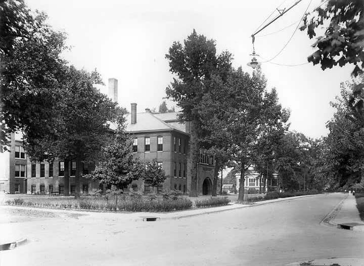 An old black-and-white photo showing a tree-lined street with a brick building and a streetlamp.