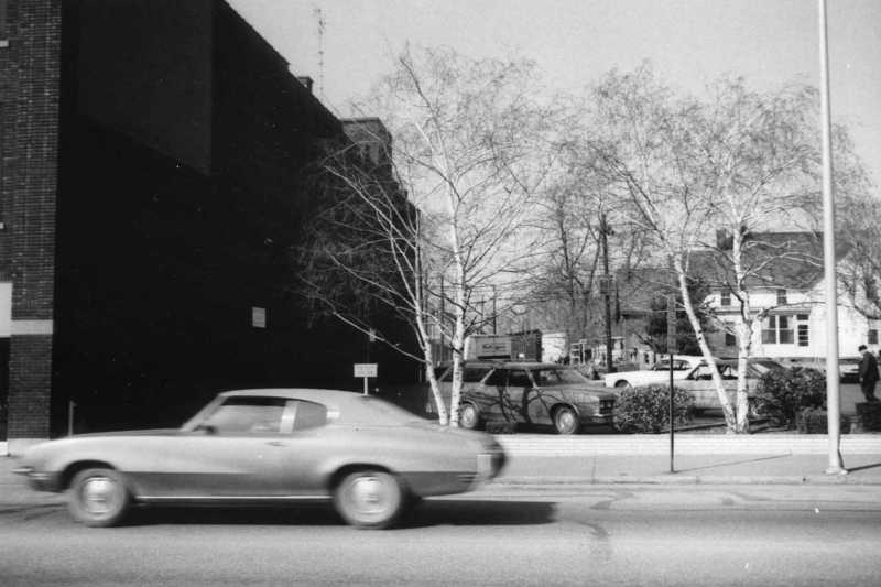 A blurry car in motion, trees, buildings, and parked vehicles on a sunny day.