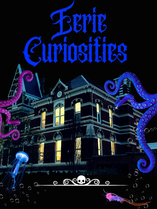 A spooky house with tentacles, jellyfish, and a skull-themed design, titled "Eerie Curiosities." Perfect for Halloween vibes!