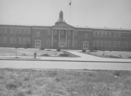 A grayscale photo of a classic building with columns, a central dome, and a flagpole.