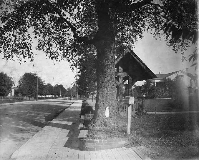 A vintage black-and-white photo: a tree, a wooden structure, a mailbox on a sidewalk, and a street extending into the background.