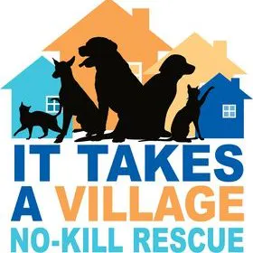 The image features a logo for "It Takes a Village No-Kill Rescue," showcasing silhouettes of pets with colorful houses in the background.