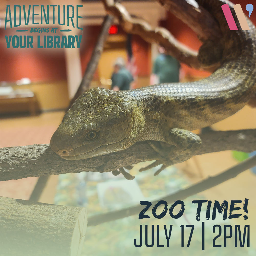 Lizard on a branch with text promoting a 'Zoo Time' event at a library on July 17 at 2 PM.