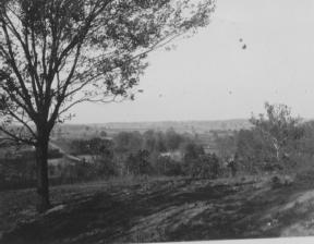 Black and white photo of a rural landscape with trees and open land.