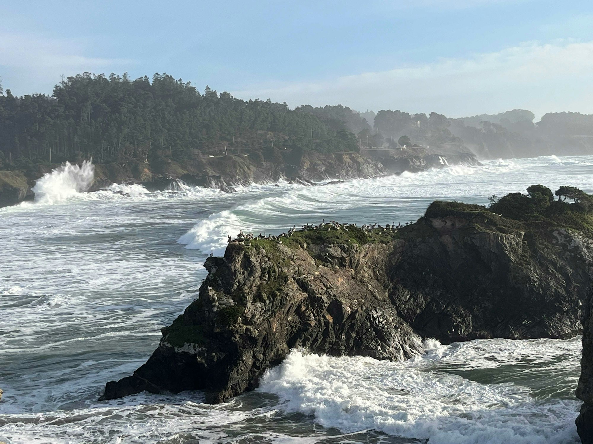 Rocky coastline with ocean waves crashing, seagulls, and pelican colony, under partly clear sky.