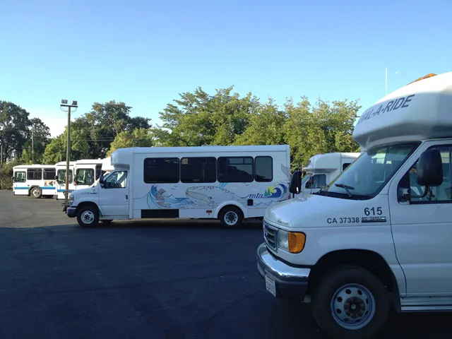 A parking lot with several shuttle buses and vans, surrounded by trees under clear blue skies.