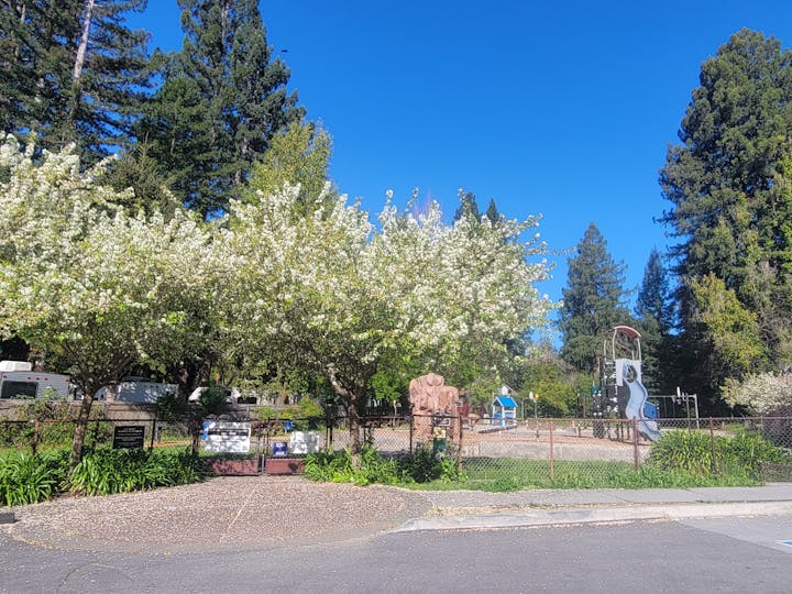 Blooming trees, a playground, clear blue sky, and a fenced area with informational signs.