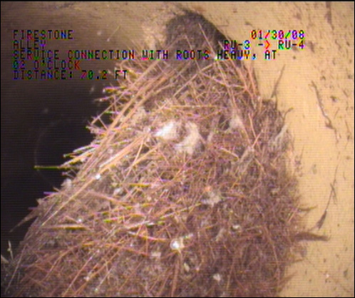 Image of damaged sewage pipe with roots or twigs and soil 1